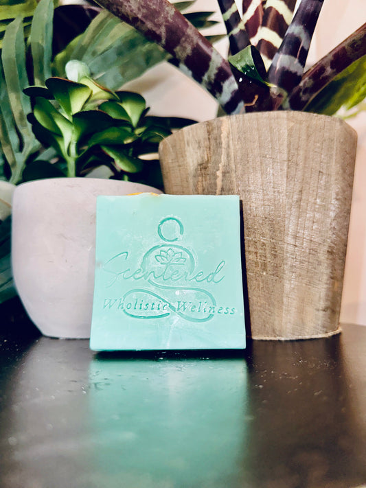 Be Scentered Body Soap